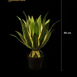 Industrial Flower